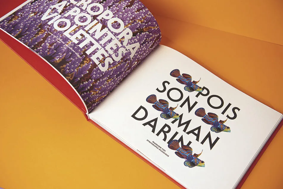 Livre Aquagraphie (Réalisation 2)